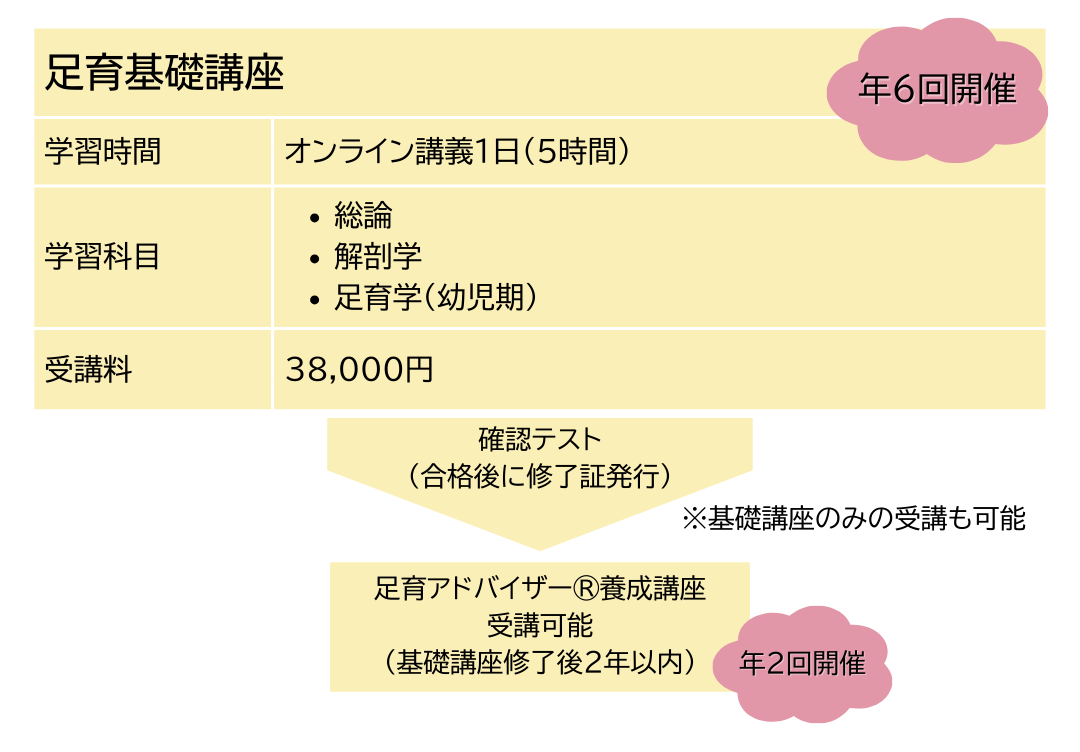 足育基礎講座のカリキュラム概要